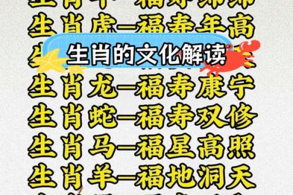 了解属相,探秘生肖背后的意义 了解属相,探秘生肖背后的意义