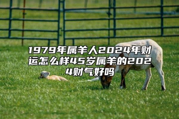 羊年运势揭秘:属羊人的财富与健康走向 羊年运势揭秘:属羊人的财富与健康走向