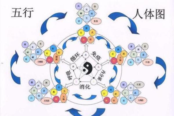 五行与义理:探索五行属相对人生决策的影响 五行与义理:探索五行属相对人生决策的影响