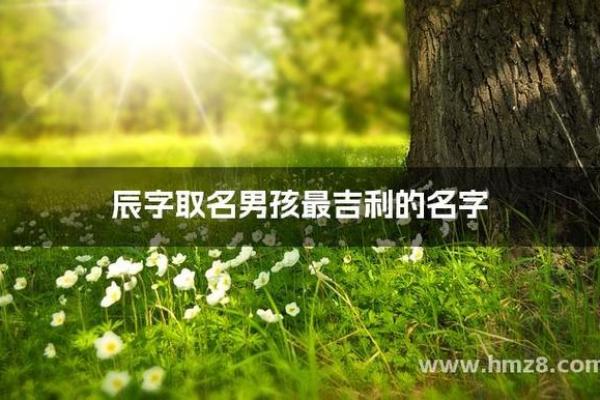辰字在男孩名字中的文化象征 辰字在男孩名字中的文化象征