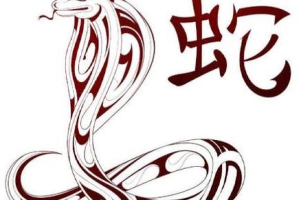 出生属蛇人命运特点与人生轨迹