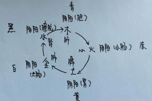 生物五行与自然界的和谐共生关系解析 生物五行与自然界的和谐共生关系解析