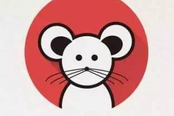 五格命理的基本概念与应用解析 五格命理的基本概念与应用解析