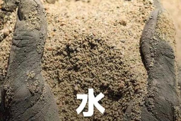 贪得无厌的生肖排行,你是其中之一吗 贪得无厌的生肖排行,你是其中之一吗