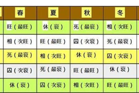 已巳五行属性解析与命理影响分析