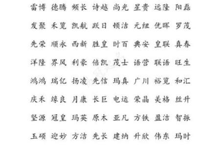 如何为帛字公司起一个既独特又有意义的名字