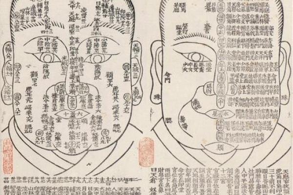 五官与五行的深层关联探究 五官与五行的深层关联探究