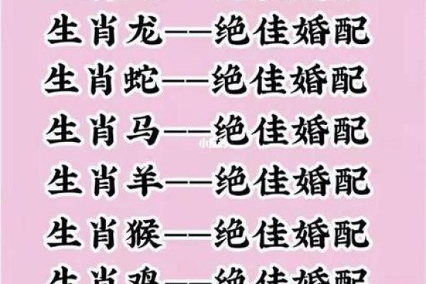 生肖狗与哪些生肖最相配 最佳配对指南 生肖狗与哪些生肖最相配 最佳配对指南