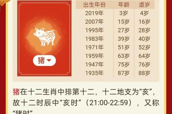 出生的人属猪,解析属猪的性格与运势 出生的人属猪,解析属猪的性格与运势