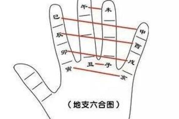 八字三合的深层解析与应用技巧 八字三合的深层解析与应用技巧