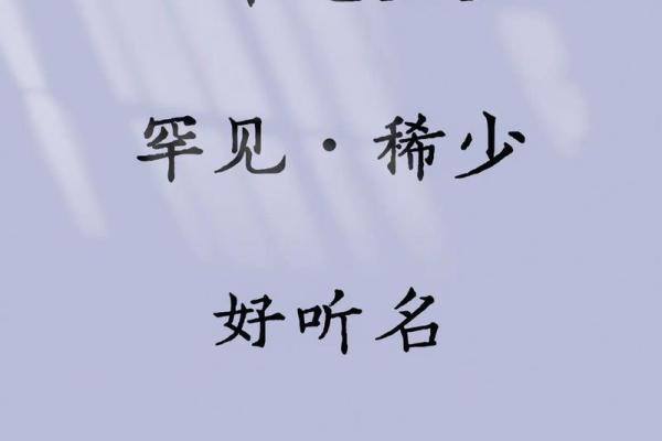 带磊的男孩名字推荐与寓意解析 带磊的男孩名字推荐与寓意解析