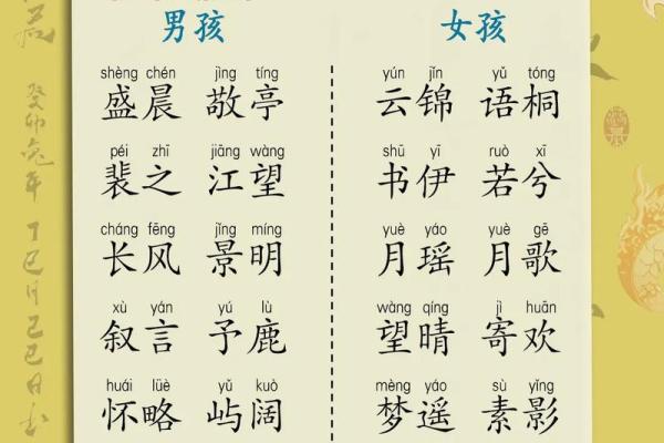 夜间出生鼠宝宝名字推荐与起名要点