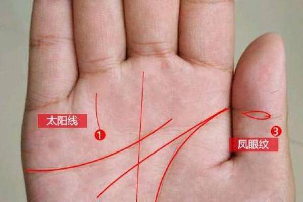右命的特点及其对命运的潜在影响 右命的特点及其对命运的潜在影响