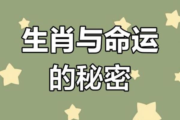 今天的命运揭示:你属于哪种命格? 今天的命运揭示:你属于哪种命格?