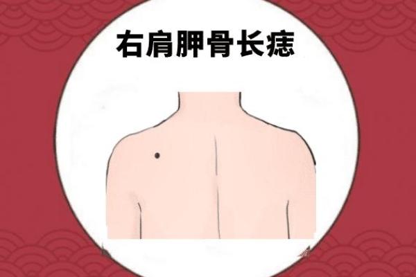 女生富贵命的特征解析:如何识别命中注定的财富与荣耀 女生富贵命的特征解析:如何识别命中注定的财富与荣耀