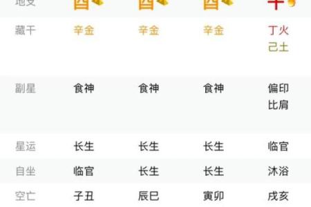 深入探讨时辰八字在命理中的重要性