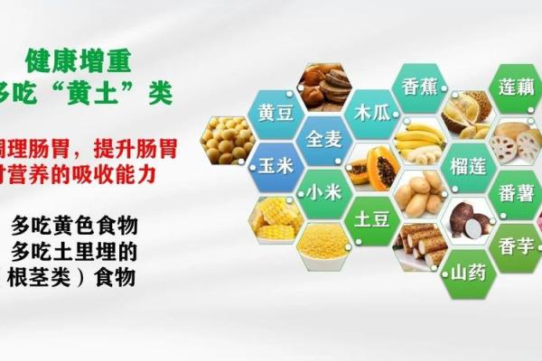 五行理论与饮食营养的巧妙结合解析 五行理论与饮食营养的巧妙结合解析