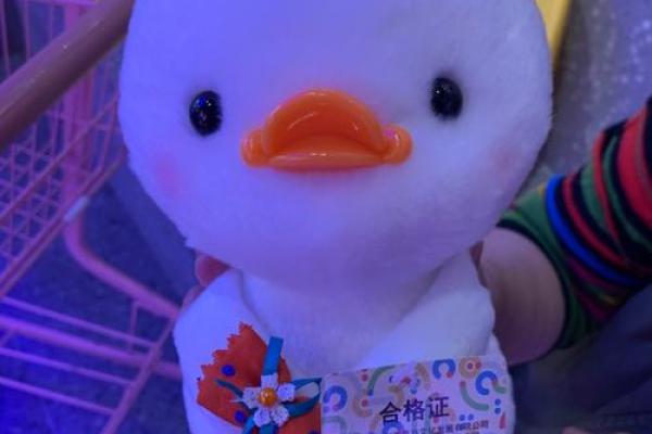 提升家居运势的玩偶摆放方法