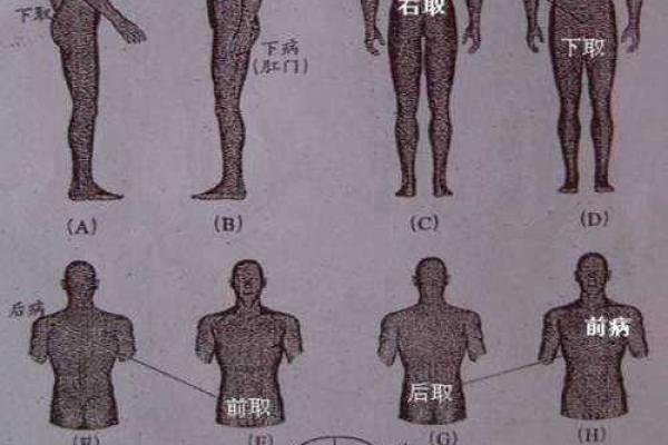 八字阴阳查询器如何精准分析命运的阴阳平衡 八字阴阳查询器如何精准分析命运的阴阳平衡