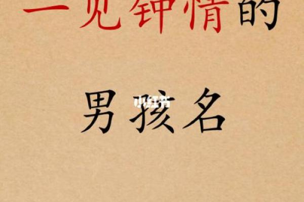 冉字如何提升男孩名字的气质与内涵 冉字如何提升男孩名字的气质与内涵