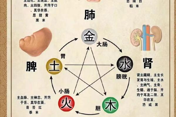 五行演绎:从木火土金水看人生的平衡与和谐 五行演绎:从木火土金水看人生的平衡与和谐