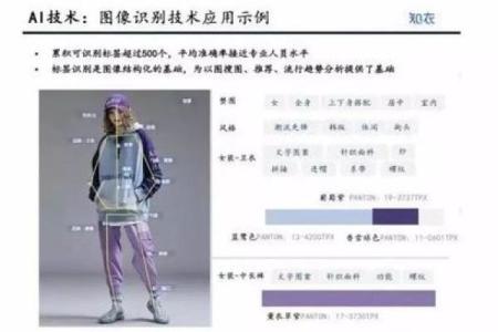 服装行业公司命名技巧与创意灵感分享