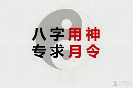 将军关八字在命理中的独特解读与应用