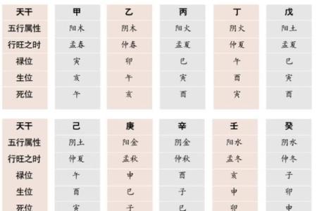 八字命理与体重变化的深层联系分析