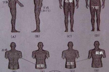 八字阴阳查询器如何精准分析命运的阴阳平衡