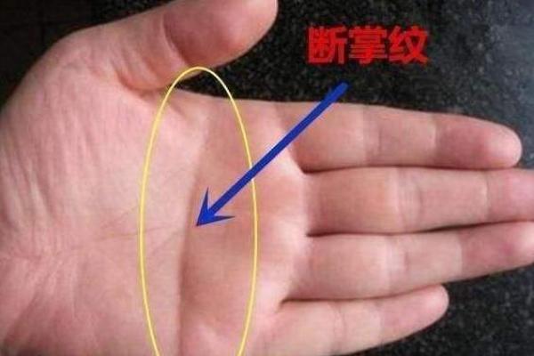 如何理解火命水月的命运格局与运势变化