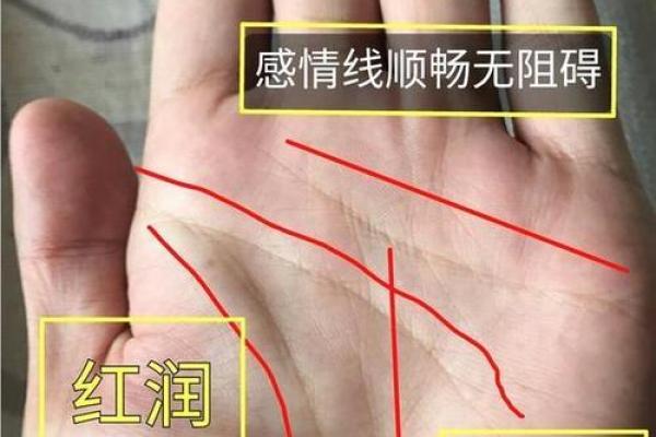 什么是富贵命:解读命运中的财富与贵气 什么是富贵命:解读命运中的财富与贵气