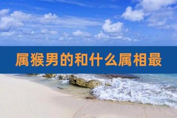 牛女与猴男相配的优势与劣势详解 牛女与猴男相配的优势与劣势详解