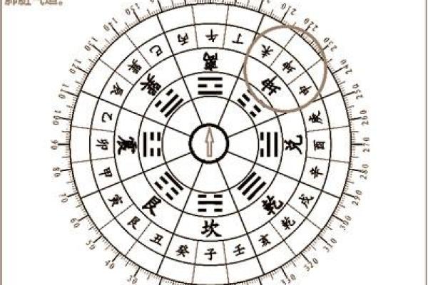 蜥蜴的五行属性解析与风水影响 蜥蜴的五行属性解析与风水影响