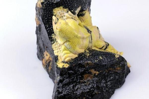 蜥蜴的五行属性解析与风水影响 蜥蜴的五行属性解析与风水影响