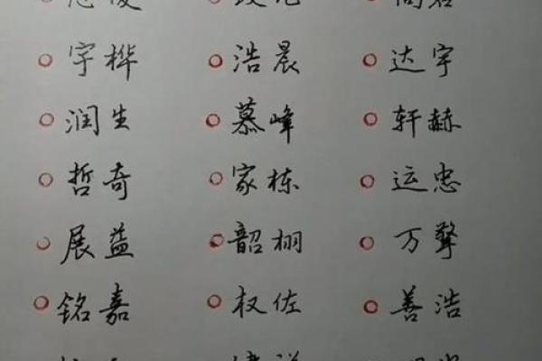 如何为鸡宝宝起个独特又有意义的名字
