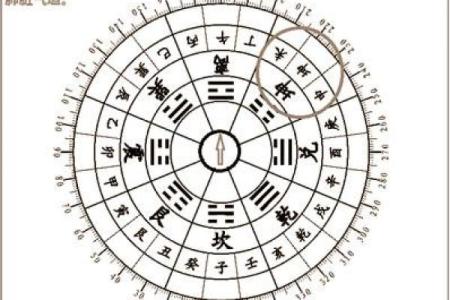 蜥蜴的五行属性解析与风水影响