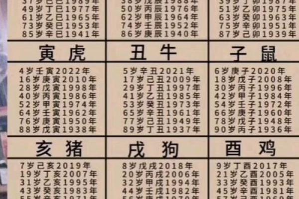 是属于什么生肖的年份 是属于什么生肖的年份