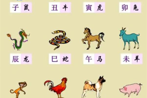 是属于什么生肖的年份 是属于什么生肖的年份