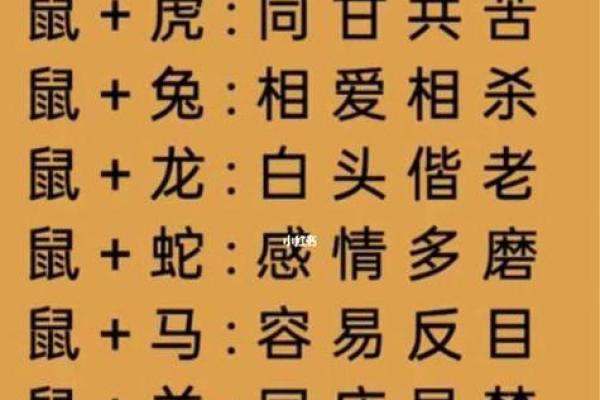 属猪人的婚姻配对指南:最佳与最差组合详解 属猪人的婚姻配对指南:最佳与最差组合详解