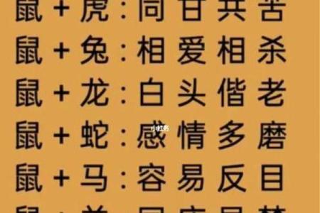 属猪人的婚姻配对指南：最佳与最差组合详解