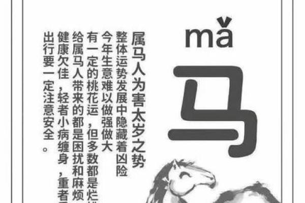 马属相人的爱情运势及配对技巧 马属相人的爱情运势及配对技巧