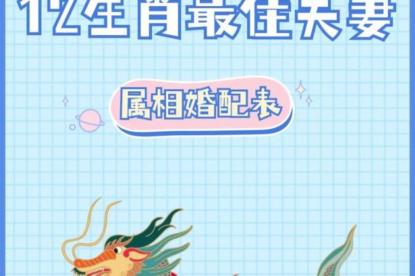 相配的属相组合让你了解最佳人生伴侣