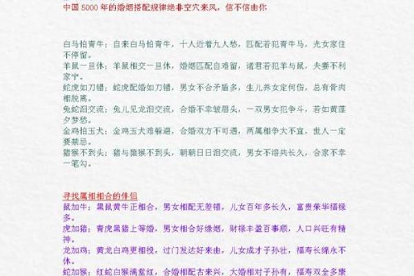 相配的属相组合让你了解最佳人生伴侣