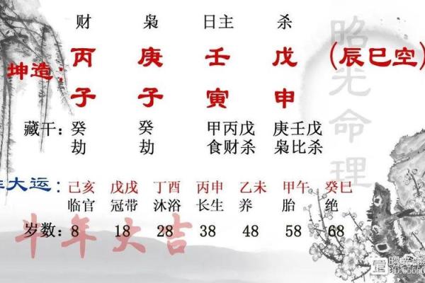 适合无婚姻八字的人生规划建议 适合无婚姻八字的人生规划建议