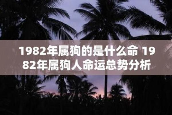 七九年出生的命运与运势走势分析 七九年出生的命运与运势走势分析