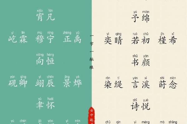 杨姓男孩取名推荐,既有寓意又好听的名字解析 杨姓男孩取名推荐,既有寓意又好听的名字解析