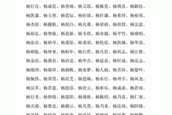 杨姓男孩取名推荐,既有寓意又好听的名字解析 杨姓男孩取名推荐,既有寓意又好听的名字解析