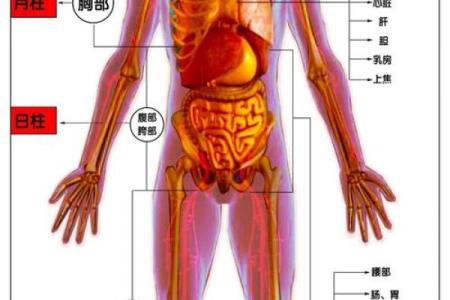 八字四柱如何影响女性健康状况