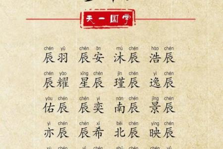 男孩名字如何搭配辰字更有韵味