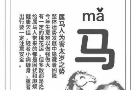 马属相人的爱情运势及配对技巧